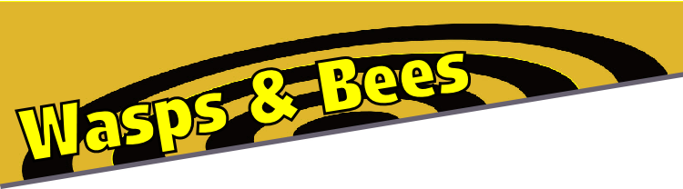 Wasps & Bees