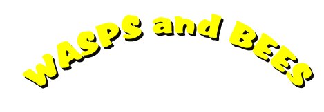   WASPS and BEES