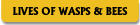 LIVES OF WASPS & BEES.