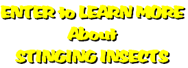 ENTER to LEARN MORE
About
STINGING INSECTS