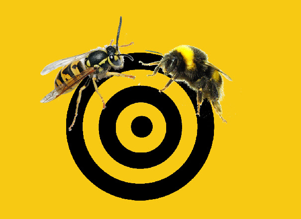MOST COMMON STINGERS